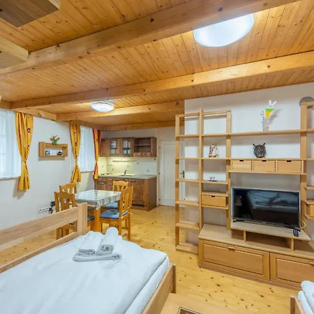 Vila Exklusives Šatov